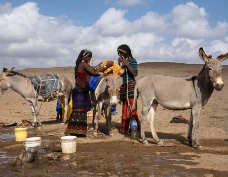Young women load donkeys with water at Shekoyta - where the only water source for many miles is an earthen catchment pool from which people and animals both drink - which causes gastro-intestinal problems for the Afar.